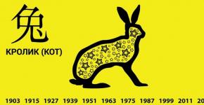 Chinese horoscope Libra rabbit on