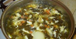 Come cucinare la zuppa di acetosa per un bambino