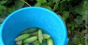 Cucumbers with red currants for the winter without vinegar
