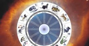 Chinese horoscope: zodiac signs by year of birth and characteristics