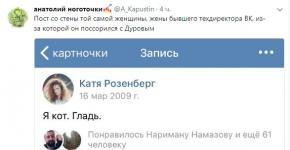 Very strange things: Durov, cats, Telegram and a girl worth a hundred million Nikolai Durov and Anton Rosenberg