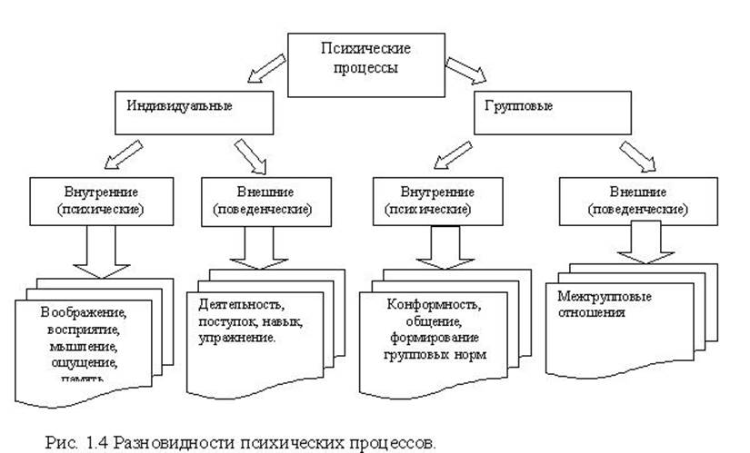 Понятие психологического процесса. Классификация психических процессов. Психические процессы в психологии. Виды познавательных психических процессов. Психологические Познавательные процессы в психологии.